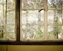 窗口期法国杯传出新动向，浙江队调整名单，管理层表态——目标明确，球探报告显示潜力的简单介绍-九游网站