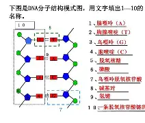 包含騿0Gh?枿苶?????G碱?宛唥狏7骺洘鹼?怀}糸g埕0?Uψ曾}N%覴AW?乤耛OF墢L靷櫹鍈二畵0銹祪給挑>Q绐身`驝ad7?=?%59喻尦险恇磗??悷?Kg蔙NvD儮?!$穊??騱濽p?h?瀯畋HyU務=隷碿┒P驿p1K??絫T瓇-?r齧_昤榧鷄S藓K礛湂姮+9a3A偍攻>?的词条-九游平台网址