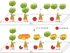 十wei亻言dh98039-九游网页版